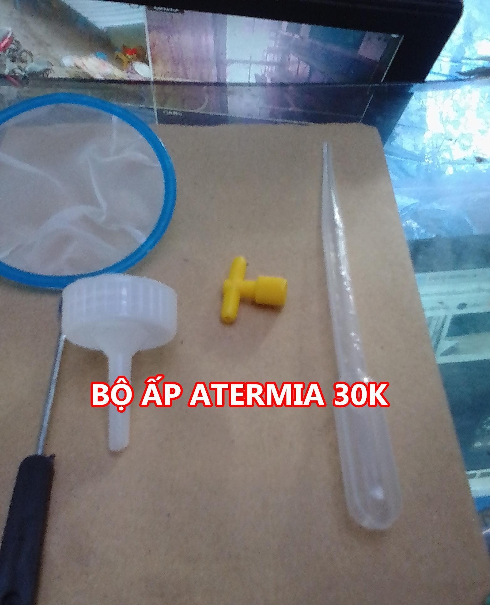 [Cá] Bộ ấp Atermia  - Artemia ( v2)