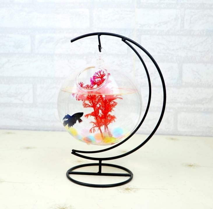 Bể cá mini để bàn treo cung trăng 14cm