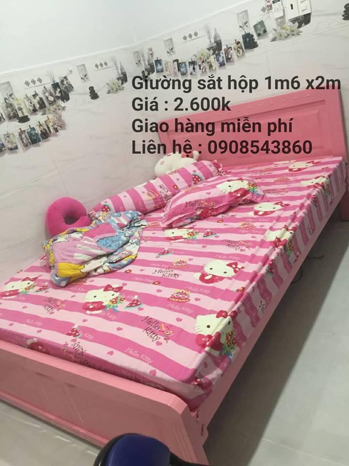 Giường sắt cao cấp 1m6 x2m