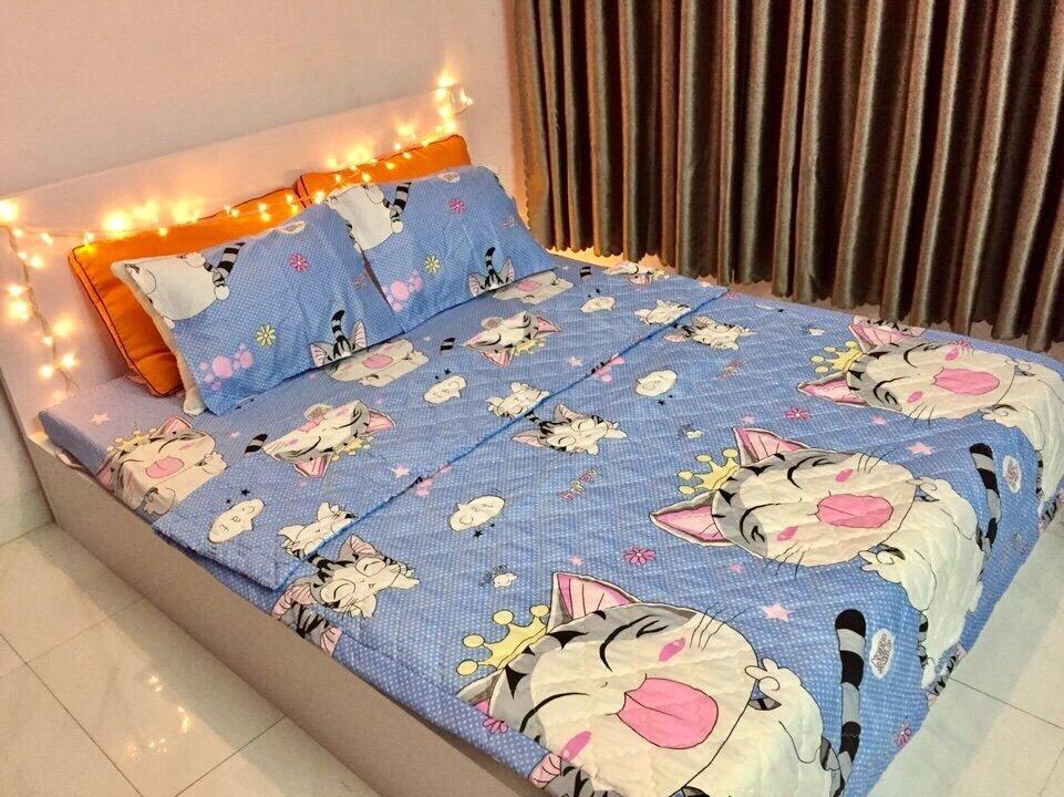 BỘ DRAP VÀ 2 ÁO GỐI COTTON MÈO THẦN TÀI