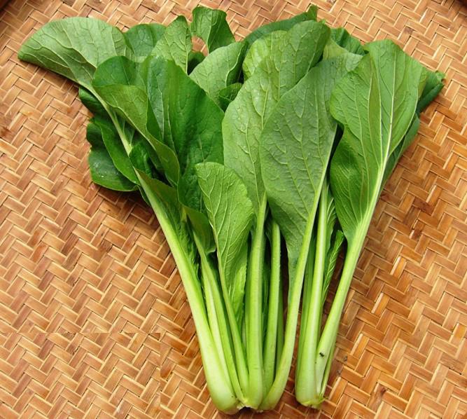 20Gr Hạt Giống Cải Ngọt (A3.301| G1*W24*M121)