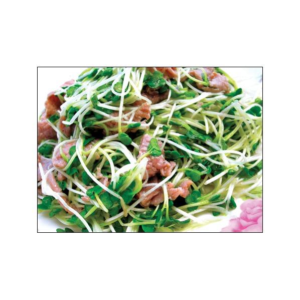 [HCM]Hạt giống cải mầm Italia PN - 30g