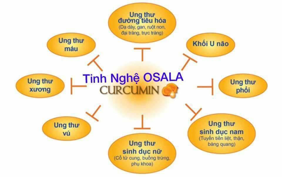 Viên Tinh Bột Nghệ Mật Ong Sữa Ong Chúa OSaLa