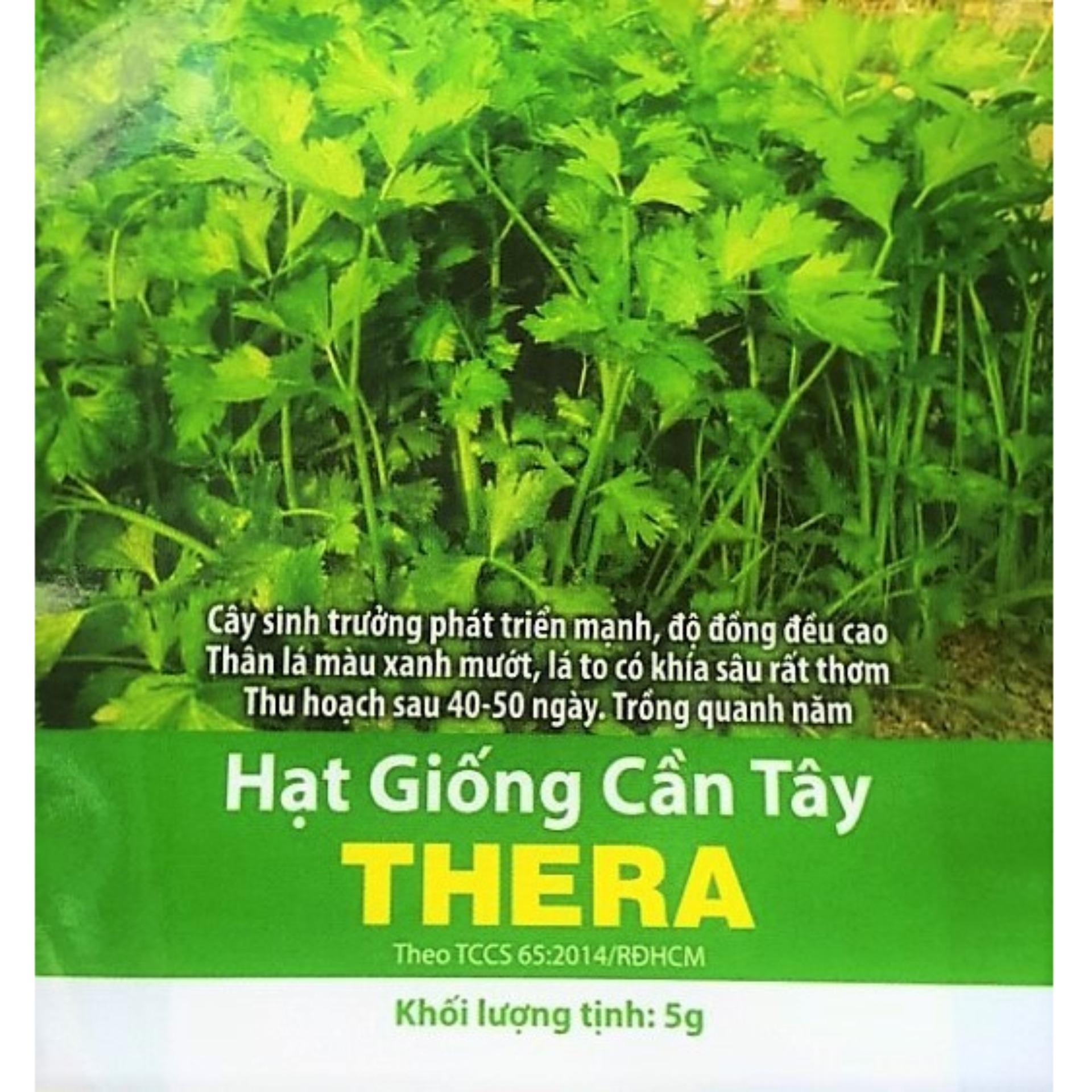 [HCM]Hạt giống Cần Tây  THERA  -KLT 5gram .