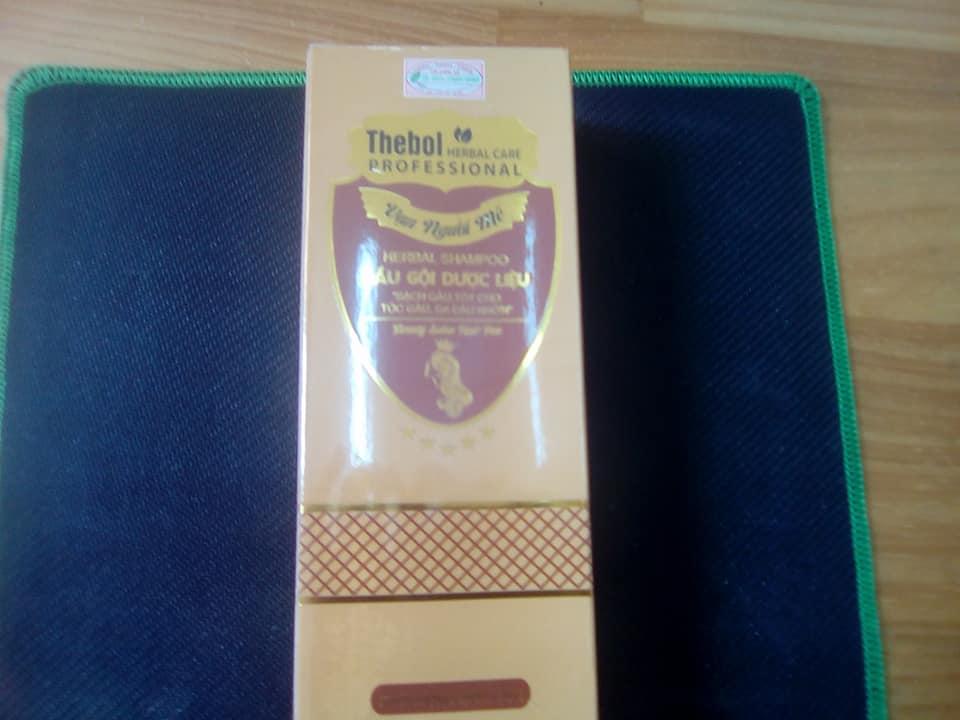combo 2 chai dầu gội Thebol (xanh)