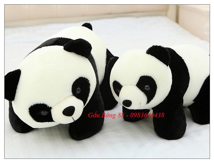 Gấu bông gấu trúc nằm size 60 cm ( như ảnh thật )