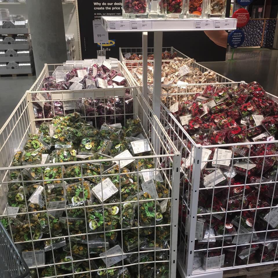 Hoa khô Ikea DOFTA Thái Lan siêu thơm