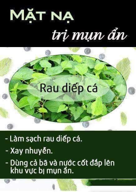 [HCM]BỘT DIẾP CÁ TƯƠI SẠCH NGUYÊN CHẤT MẸ KEN-100gr