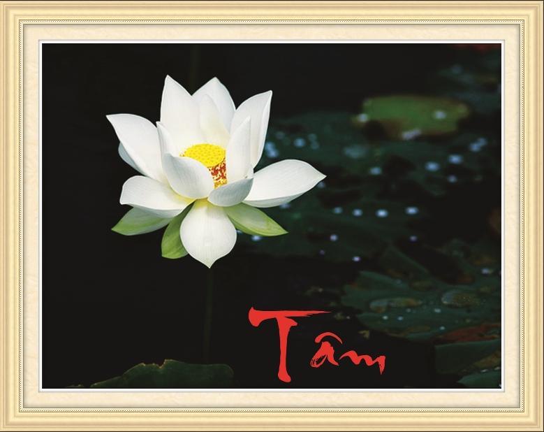 [HCM]Tranh đính đá Chữ Tâm - Hoa Sen 88700