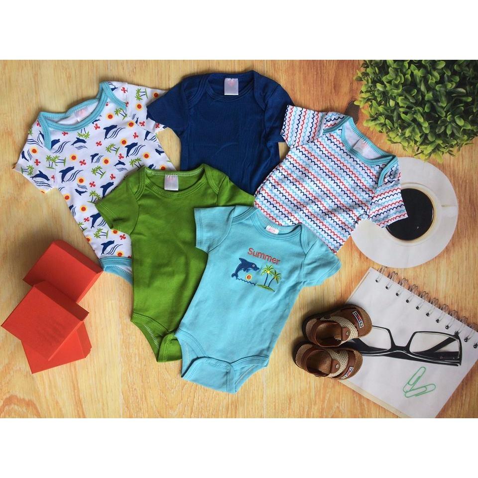 Body cá heo set 5 chiếc