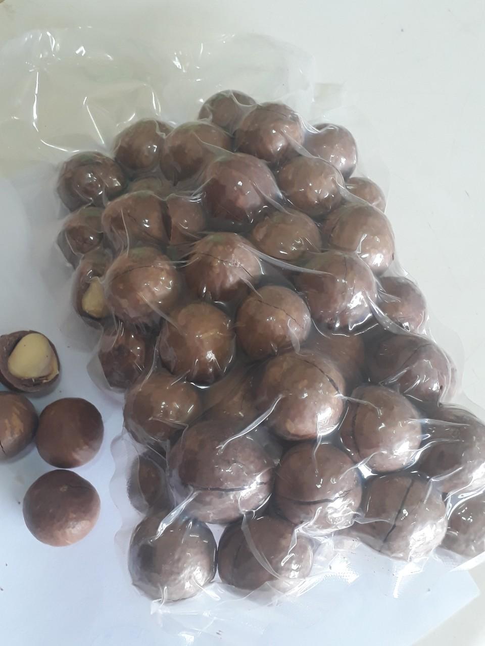 HẠT MACCA TRỒNG TẠI NHÀ 500g