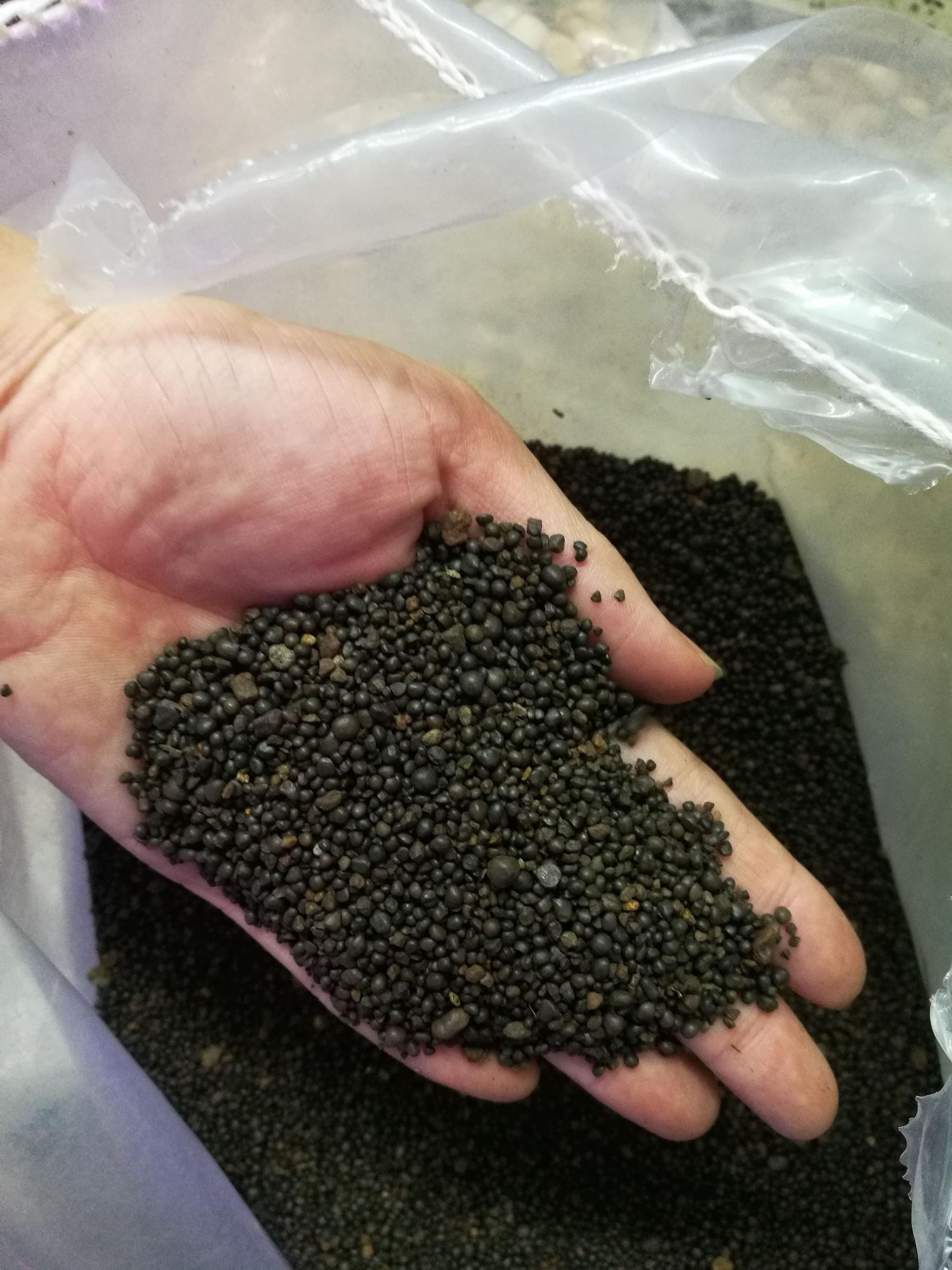 3kg sỏi suối trang trí hồ cá chậu cây