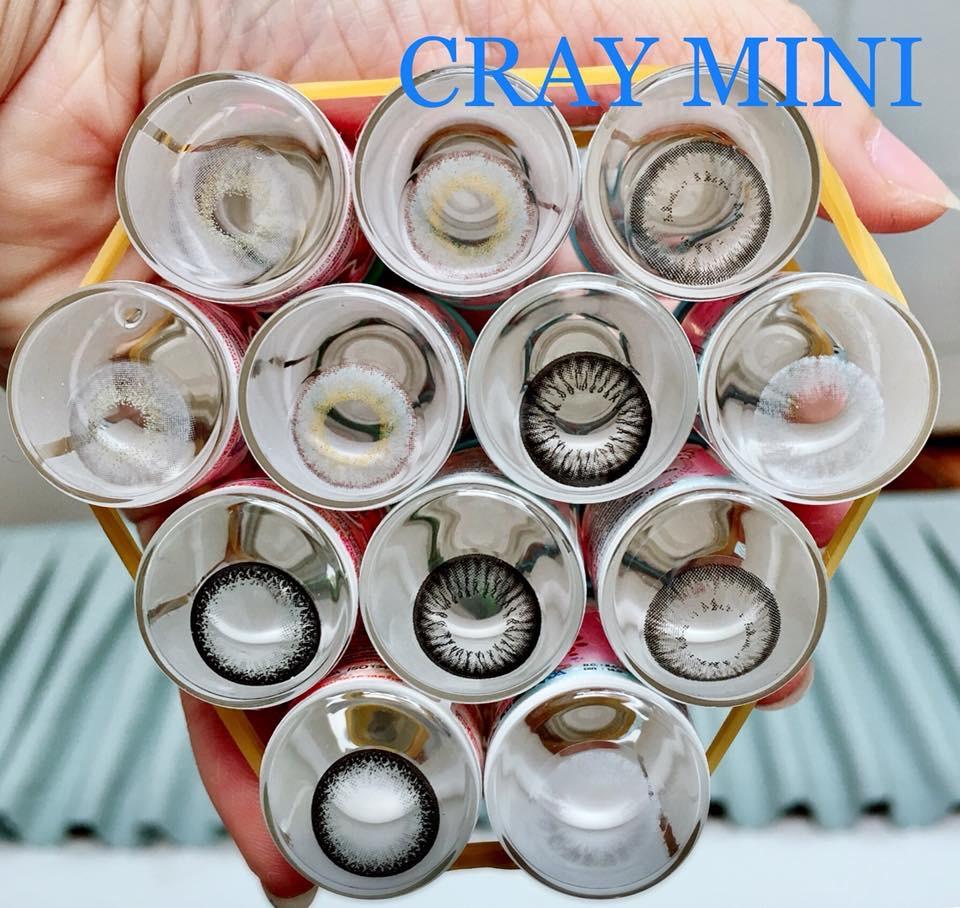 [HCM]lens xám tự nhiên