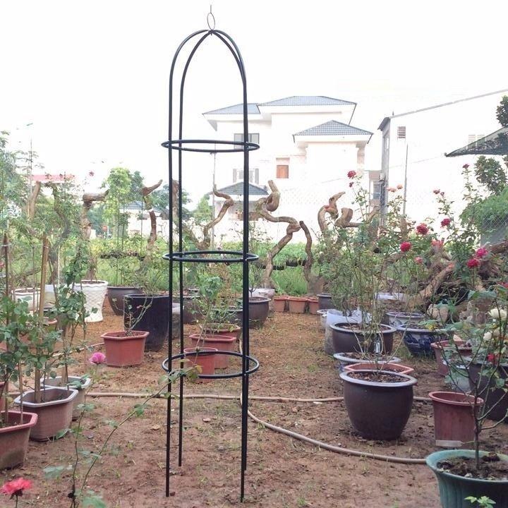 Khung đỡ hoa hồng leo, cây trang trí màu xanh lằm bằng thép ống phi 13mm cao 1,8m đường kinh 40cm