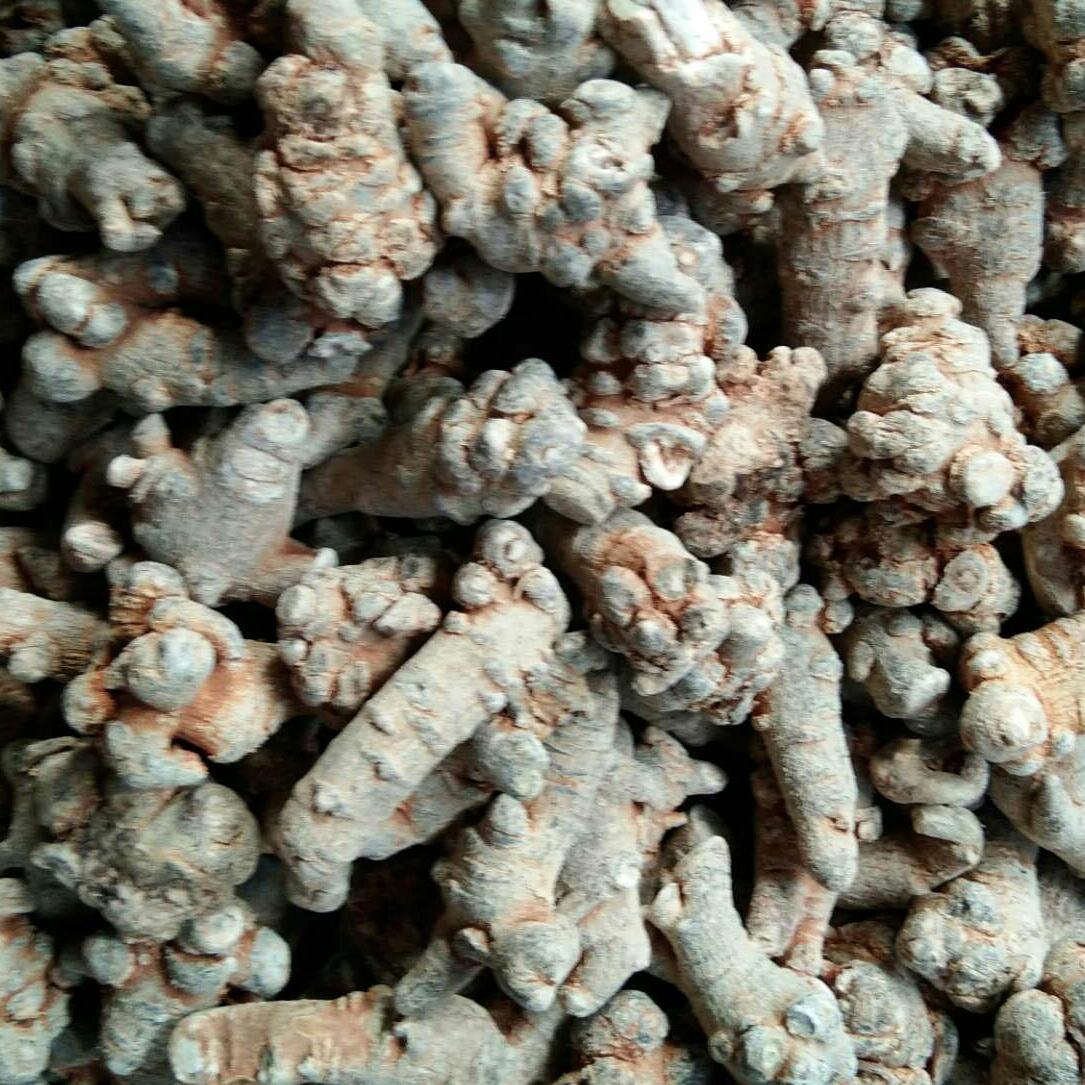 500g củ tam thất bắc