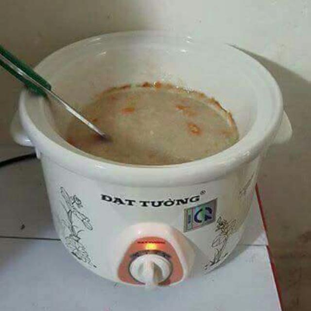 Nồi hầm chậm 1,5 lít Đạt Tường