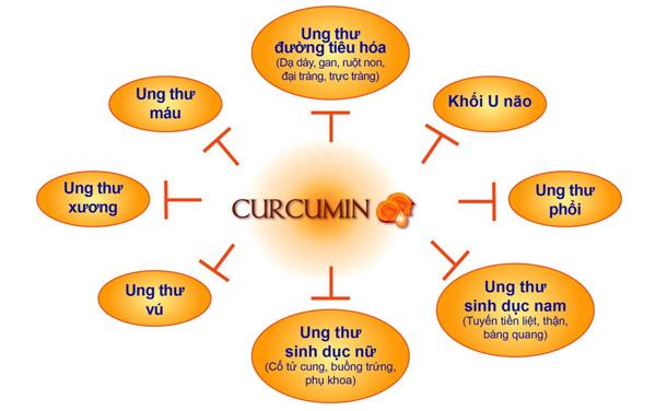Nano Curcumin - Tam Thất - Xạ Đen