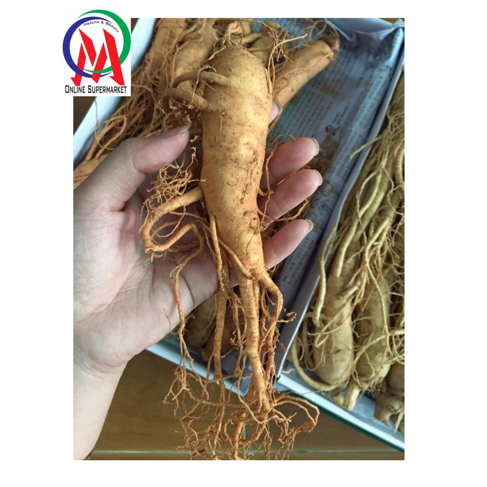 Nhân sâm tươi xách tay hàn quốc loại củ lớn