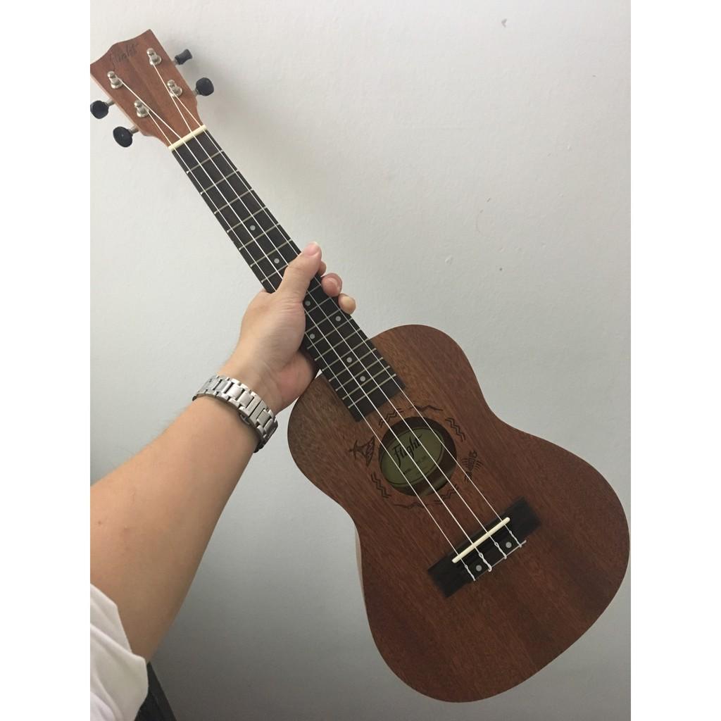 Đàn Ukulele Concert Flight