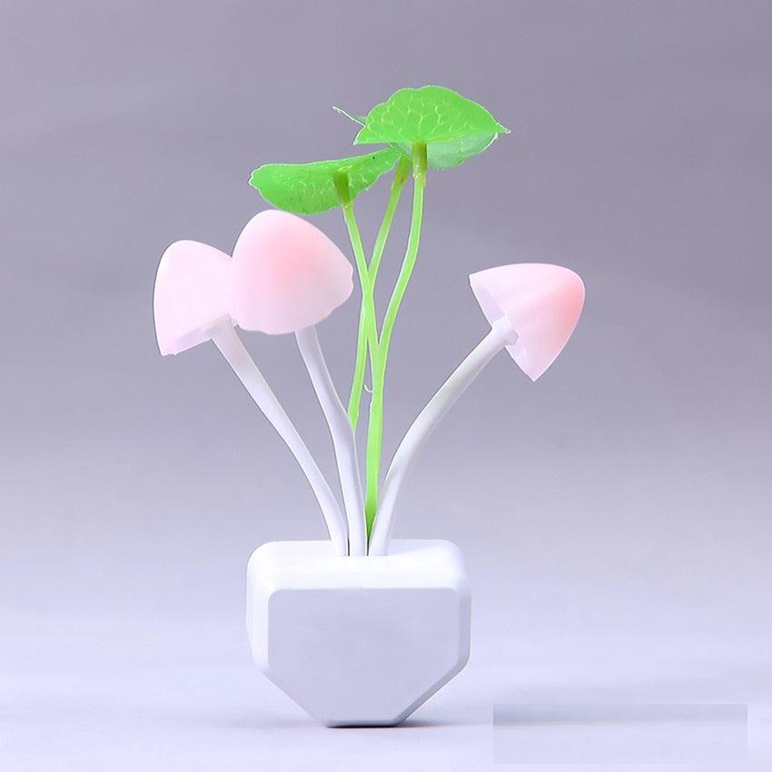 Đèn ngủ cảm ứng ánh sáng AVA