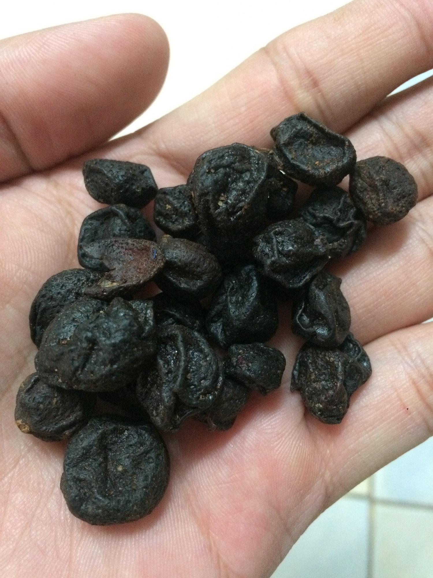 Quả mắc mật rừng Tây bắc 100g khô