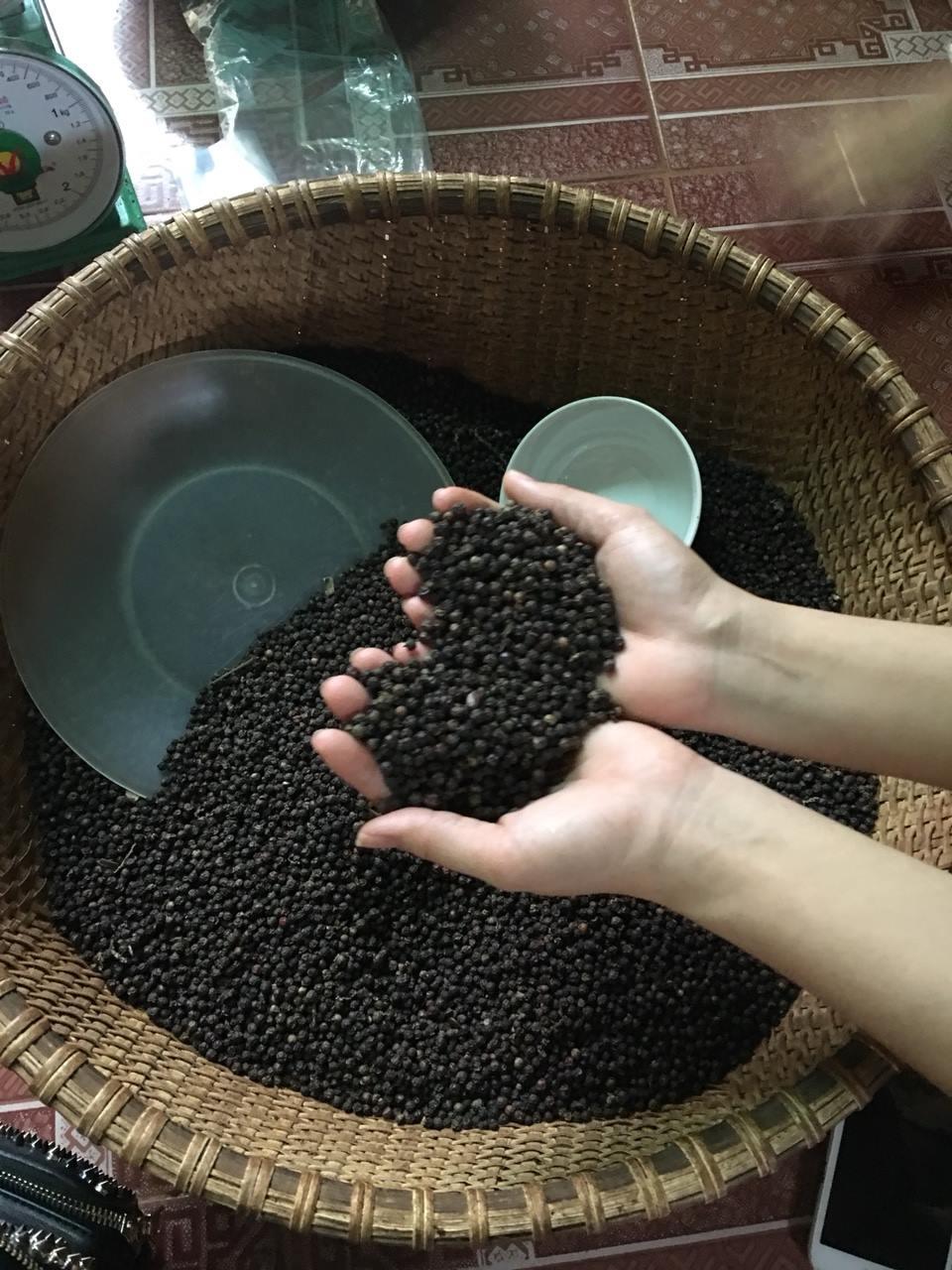 HẠT TIÊU ĐEN DAKLAK(500g)