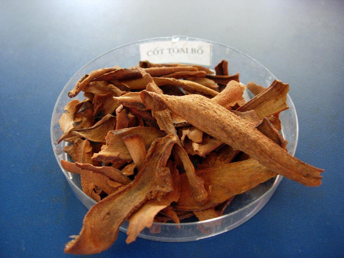 Cốt toái bổ (Tắc kè đá) khô 500g