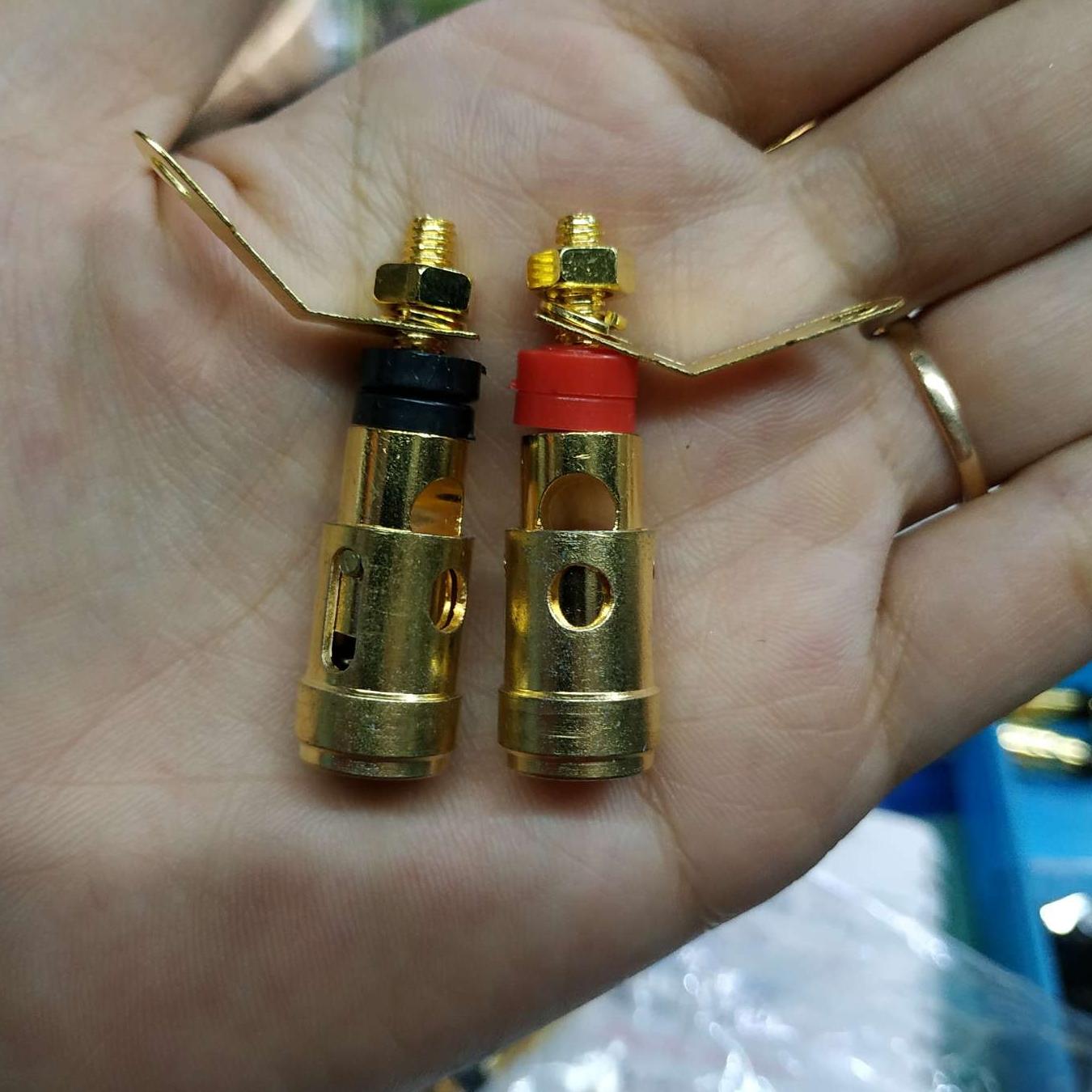 1 Cặp Cọc Loa Đơn 