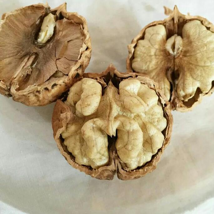 Combo 2kg óc chó.