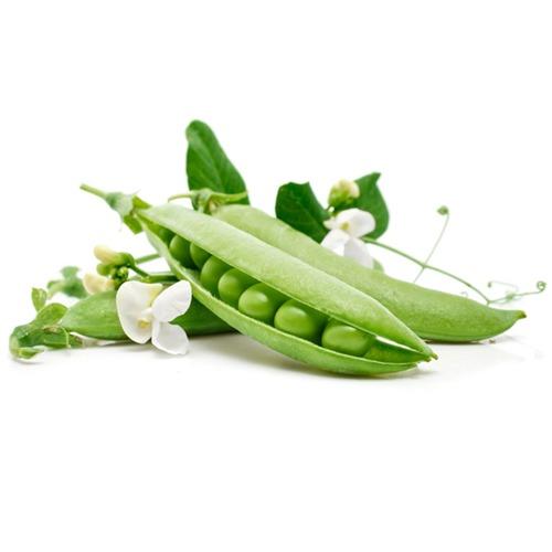ĐẬU HÀ LAN TỎI ỚT