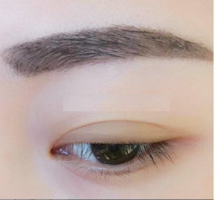 192 miếng lưới (12 vỉ) kích mí lưới