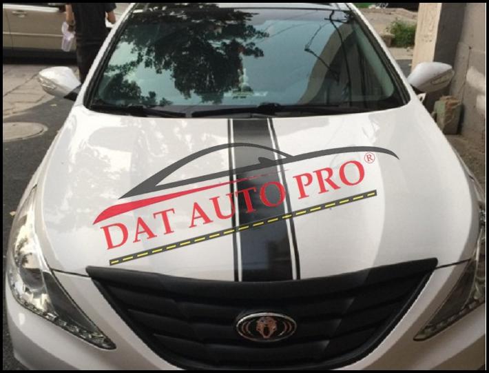 Tem dán dọc từ Mui xe tới capo WRC màu đen.