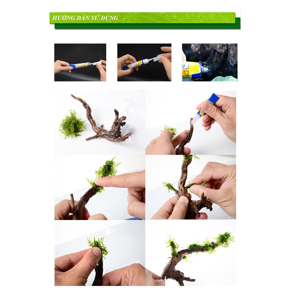 Keo dán rêu thủy sinh chuyên dụng (1 tuýp)