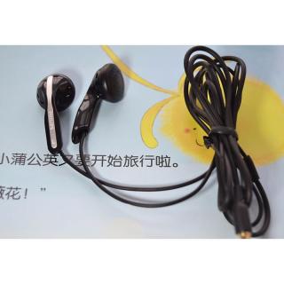Tai nghe cao cấp Philips SHE3800 (Đen) - Hàng nhập khẩu thumbnail