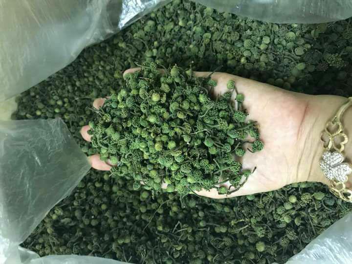 Nụ hoa tam thất khô 1kg