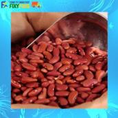 Đậu tây đỏ 1kg Kidney Beans