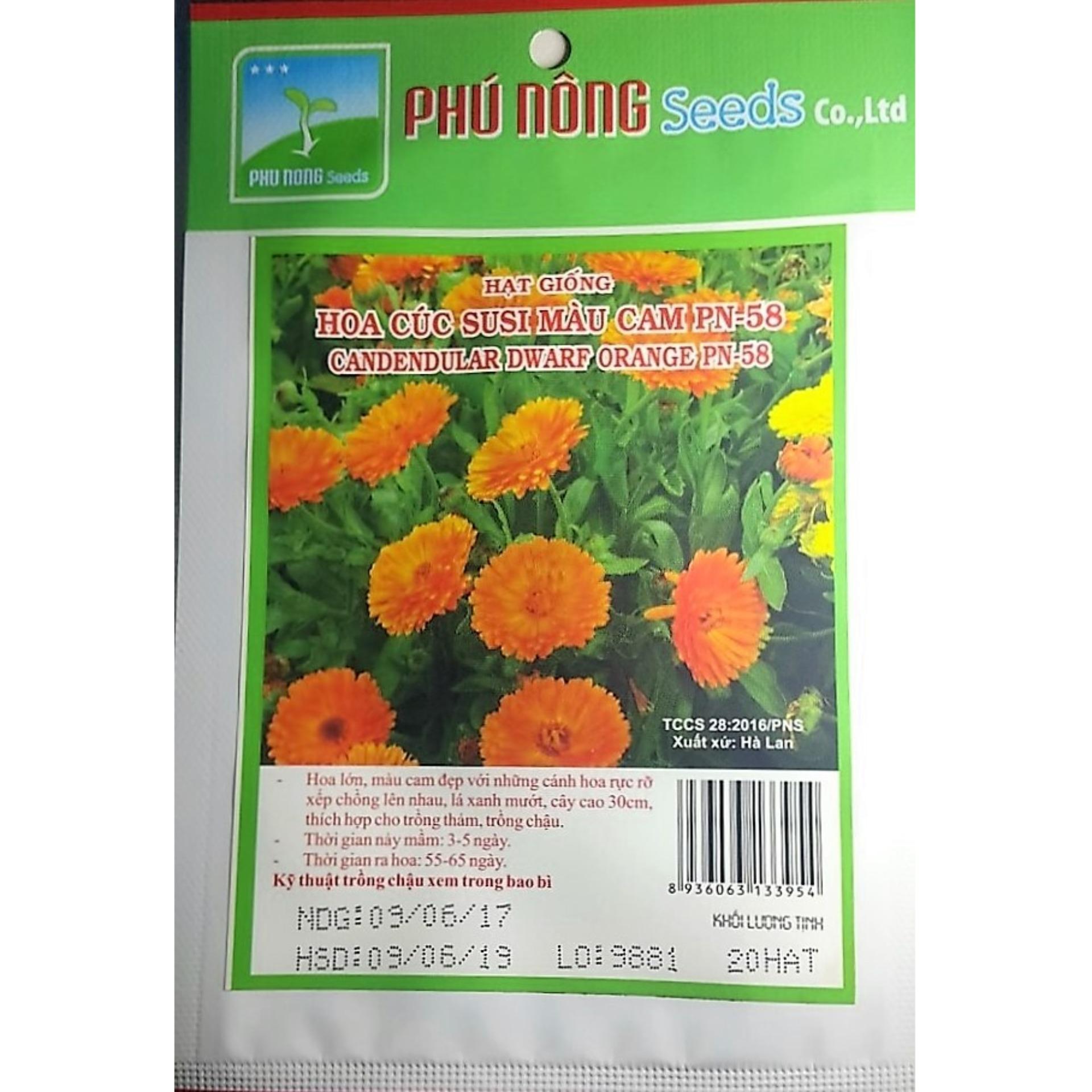 [HCM]HOA CÚC SUSI MÀU CAM  ( PHÚ NÔNG) PN58  - KLT 20 HẠT