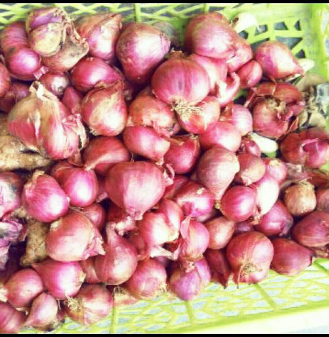 Hành tím 1kg