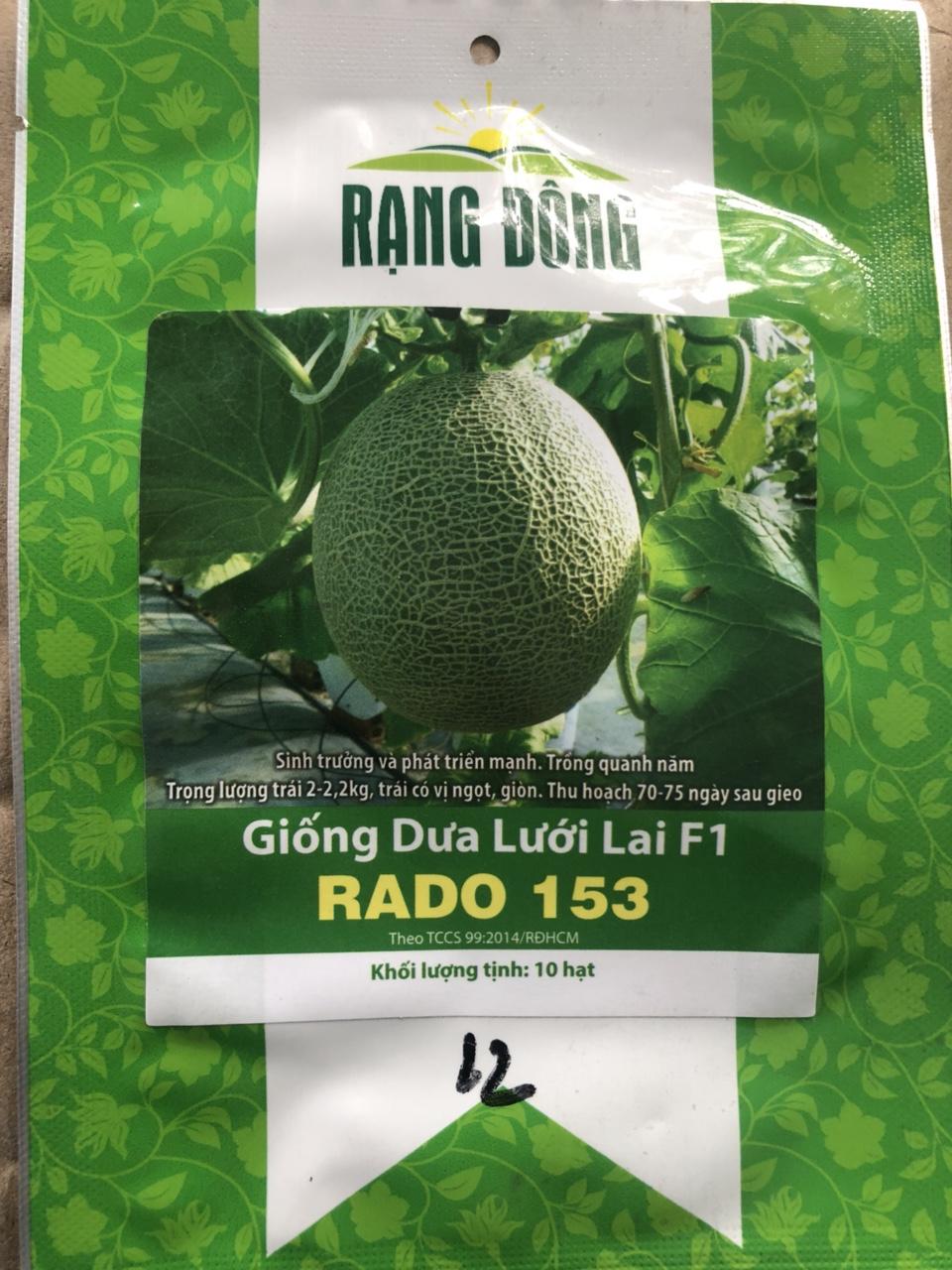 Hạt giống dưa lưới - giống dưa lưới f1 rado 153