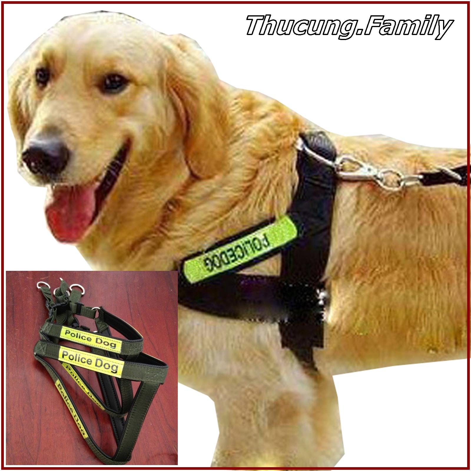 [HCM]Dây dắt yếm POLICE phản quang hàng công ty cho CHÓ &lt25kg. Bản 2.5cm