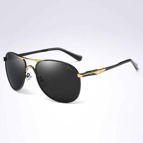 Kính mắt nam cao cấp ELLY- EKM61