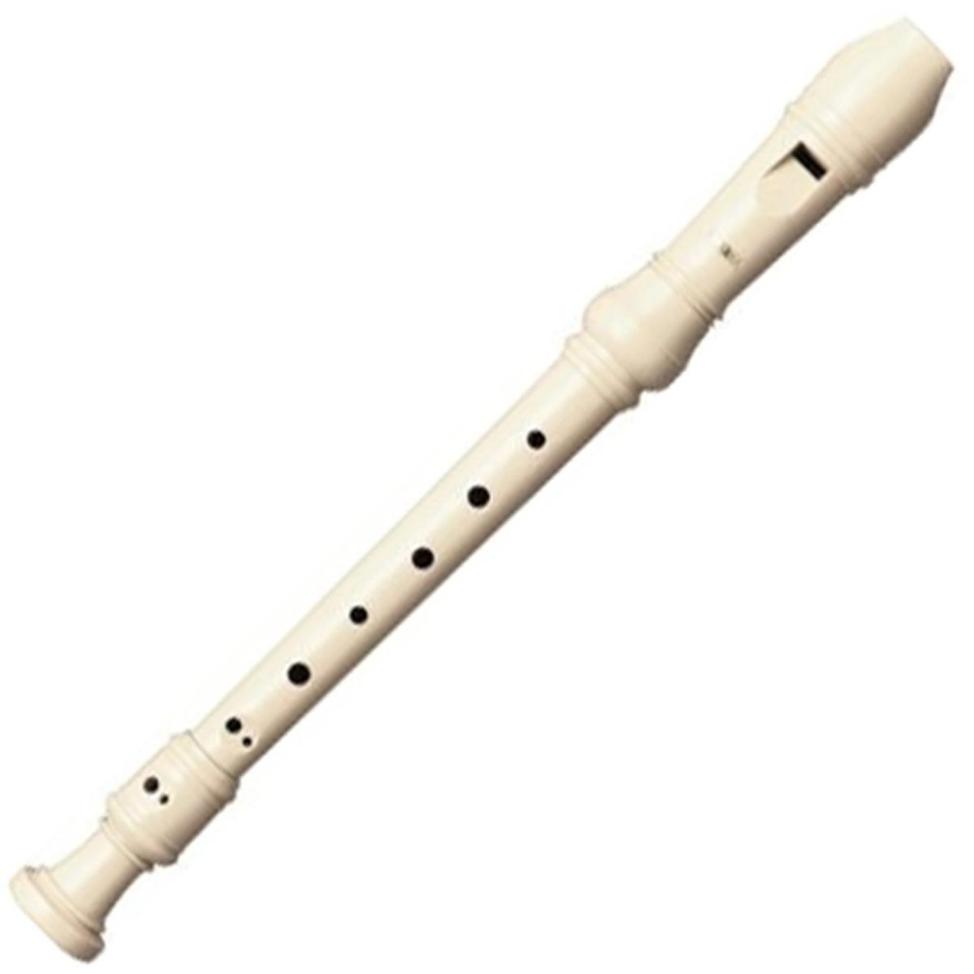 [HCM]Sáo Recorder 6 lỗ