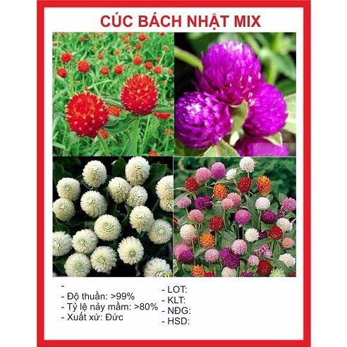 [Lấy mã giảm thêm 30%] Hạt Giống Hoa Cúc Bách Nhật (100 hạt)
