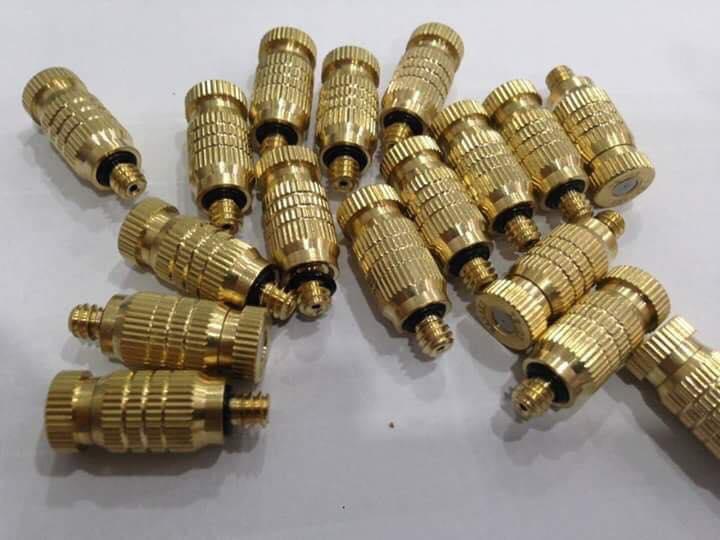 Béc Phun Sương số 1 Đài Loan