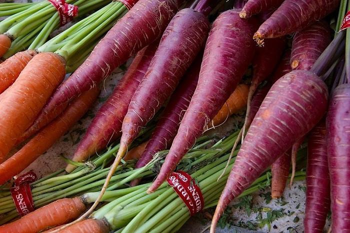 Gói 0,1g Hạt giống Cà Rốt Tím (tặng gói kích nẩy mầm và hướng dẫn)