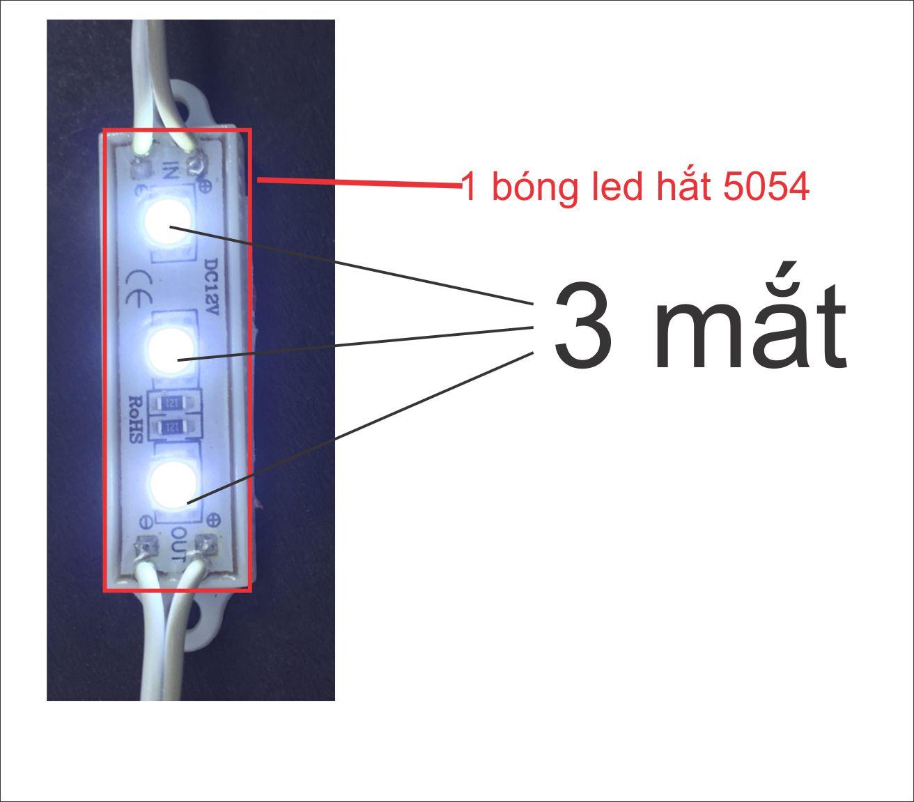 200 bóng LED HẮt 5054 - 3 mắt to  DC12V