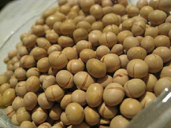 Đậu nành rang muối 1kg