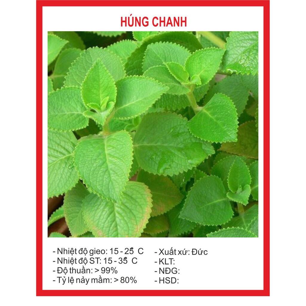 [Lấy mã giảm thêm 30%] Hạt giống Húng Chanh