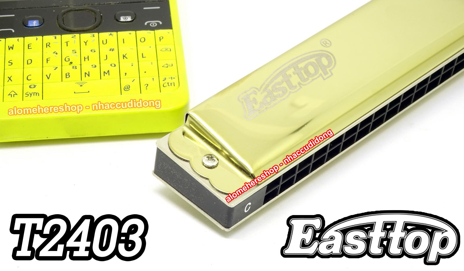 Kèn harmonica tremolo Easttop T2403 Key C