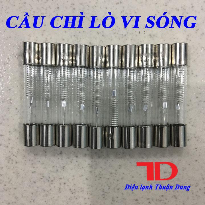 Combo 10 cầu chì lò vi sóng - Điện Lạnh Thuận Dung